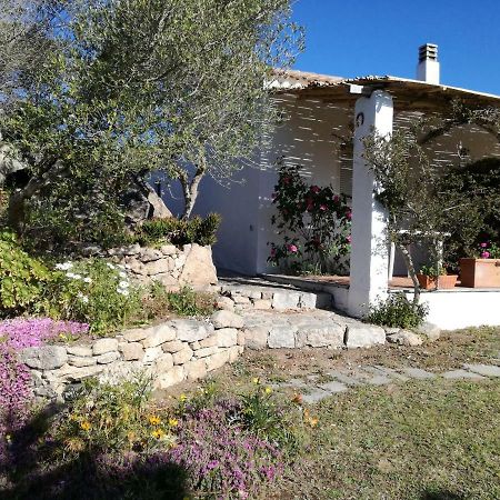 Agriturismo La Valletta Otel Santa Teresa Gallura Dış mekan fotoğraf