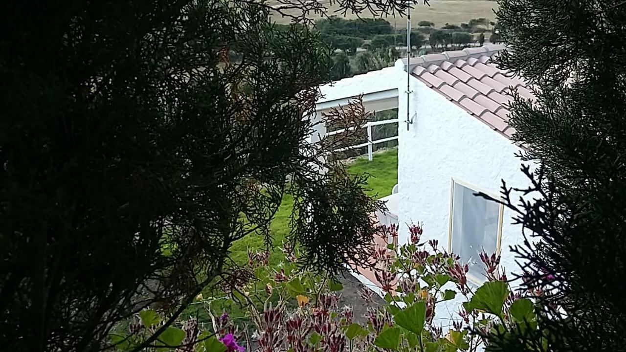 Agriturismo La Valletta Otel Santa Teresa Gallura Dış mekan fotoğraf