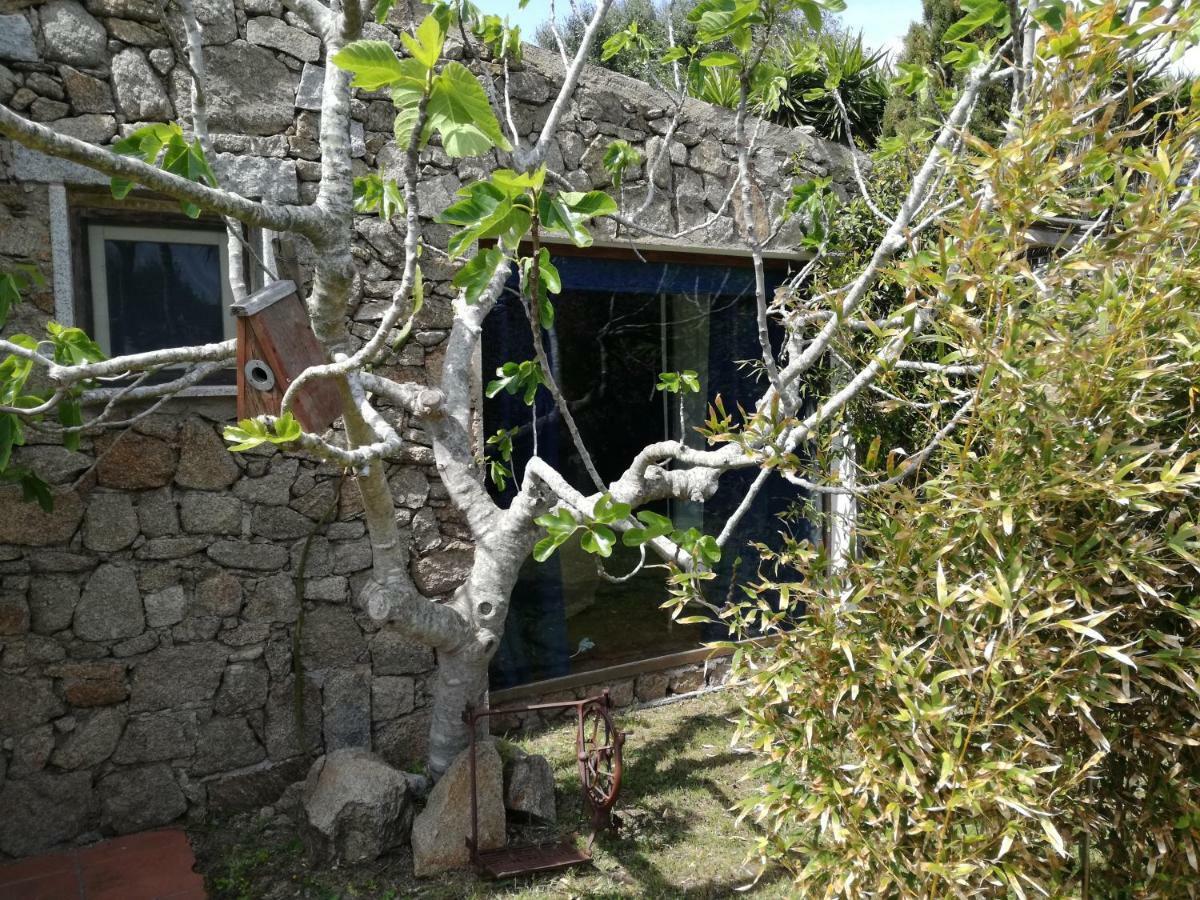 Agriturismo La Valletta Otel Santa Teresa Gallura Dış mekan fotoğraf